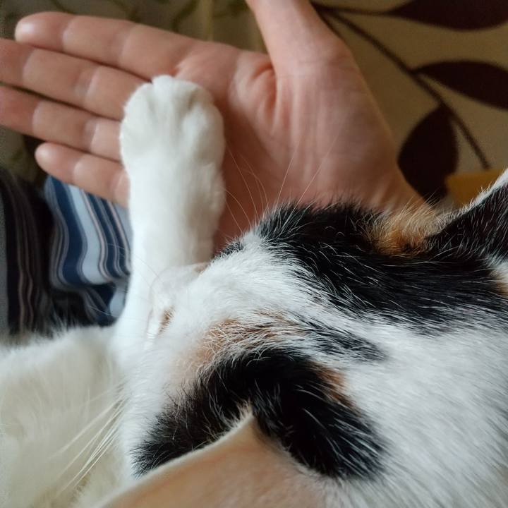 B5043682 ebe1 45f4 a9ac 0a0f80c18ed5 1620545206714