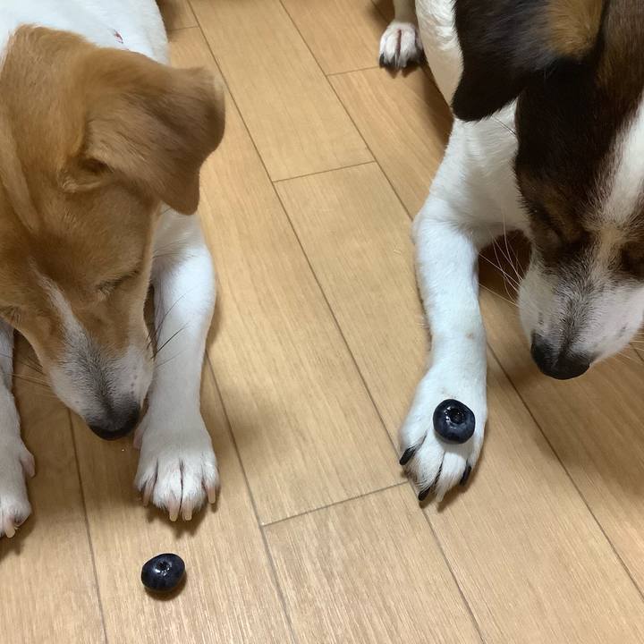 B50457ad 20af 4573 8c4f 21ad2f4022df 1563610421122