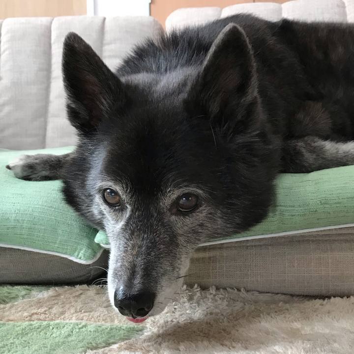 B5046fae 0f82 4b23 84a8 d922098dc6c4 1661834245780