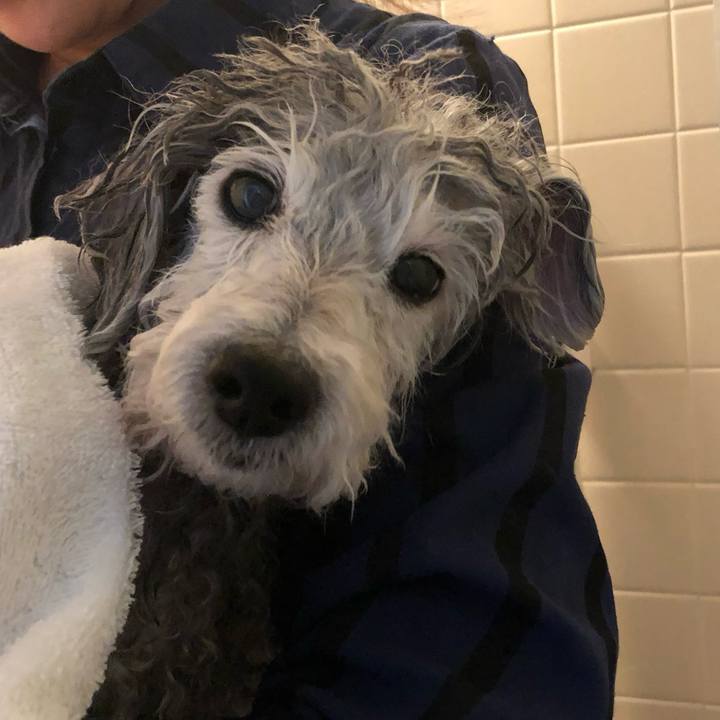 B5047b4c 7858 46d9 8aeb aa6473b73836 1721063065098