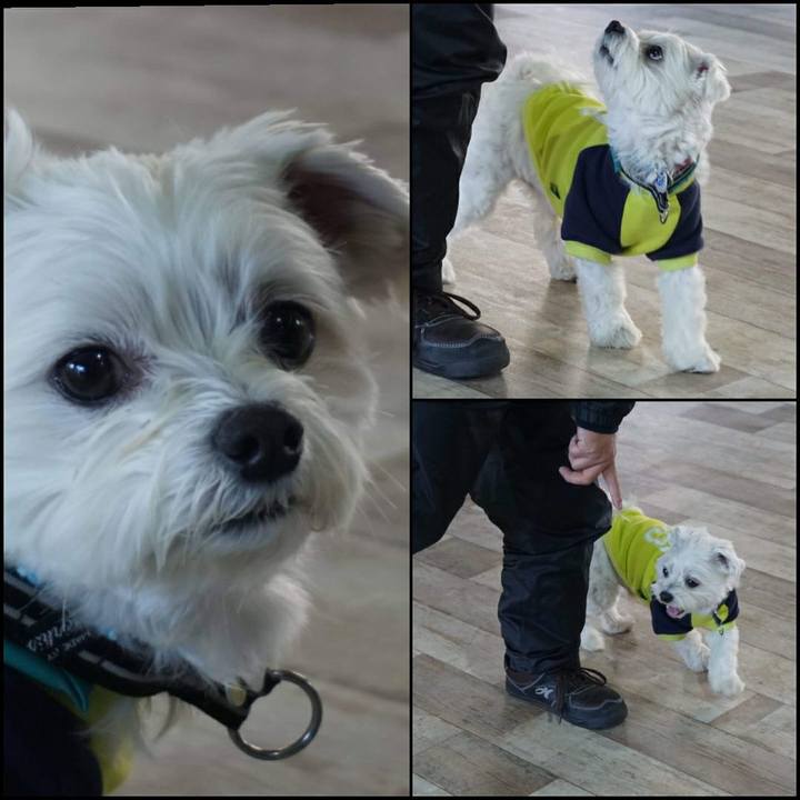 B5047e83 952d 474e b70a c817153ad3f5 1547958780749