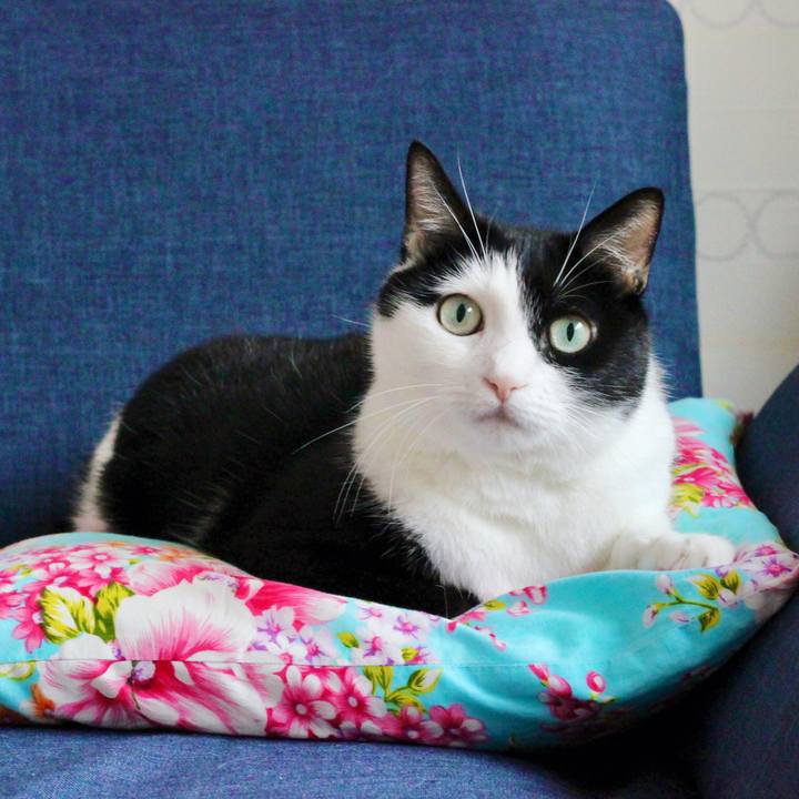 B50484c9 ecb7 4be4 a8b7 84398dbf9aac 1633040410040