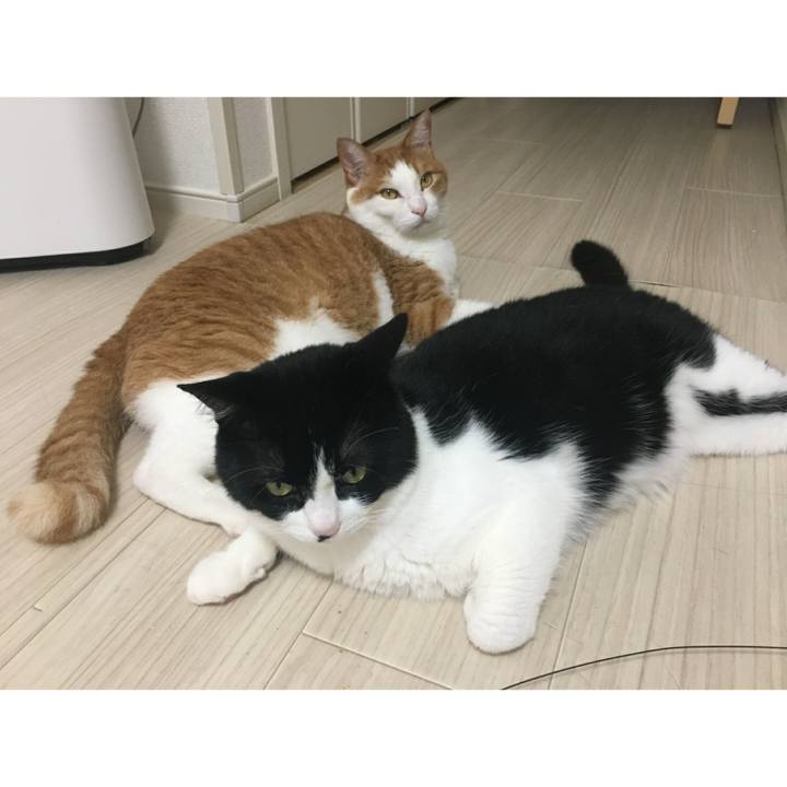 B504ba0a 9ace 4a50 9f09 3fe49f4323f1 1562455696895