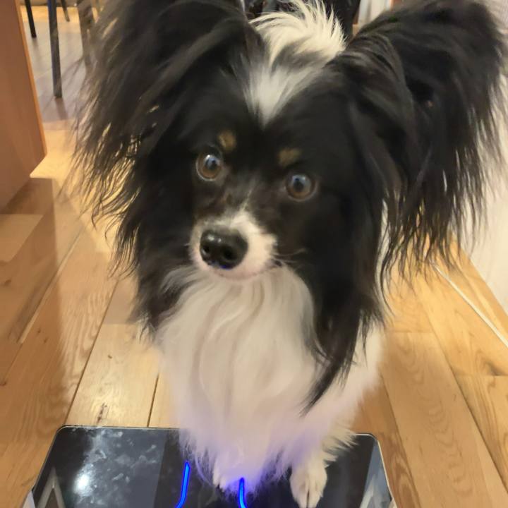 B504cb70 1291 4f08 b712 4001e67db15f 1557789596568