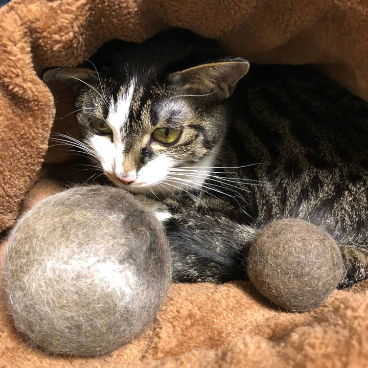 B504ebc9 250c 43df a3c6 78d974bf5001 1517464737853