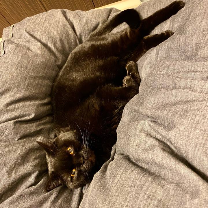 B5052d63 47f2 438a b152 61c72187b966 1713702729023