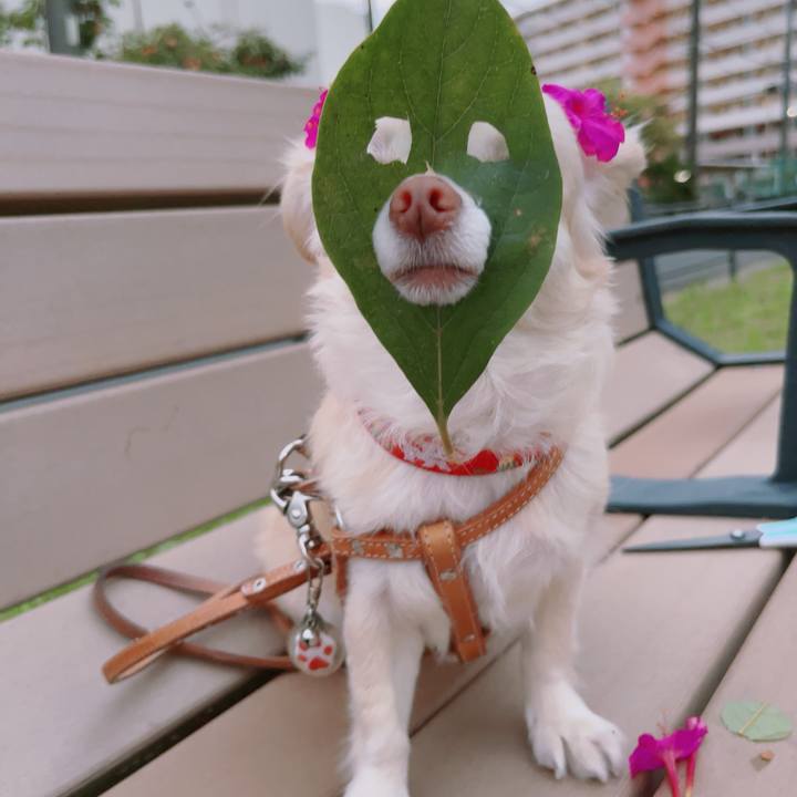 B5053c05 459e 4a12 9e2d d3af2327ccaa 1760103279354