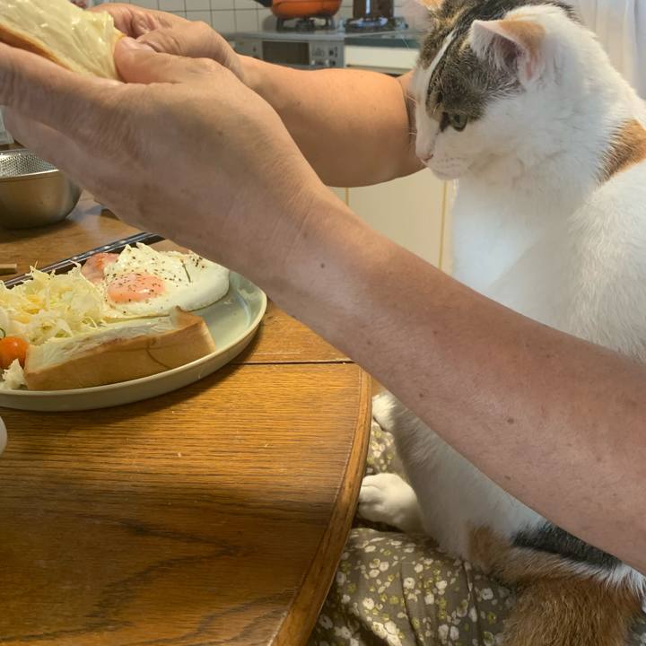 B505551d 6e4a 405a ac4a fc0ab40a27a4 1626590245714