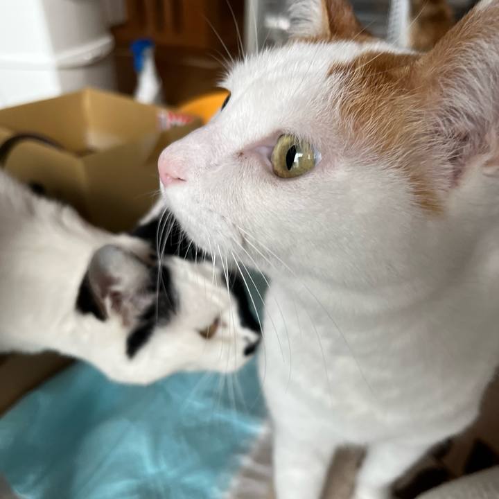 B5055f91 1528 4aeb a620 b486d3c34c08 1767175940847