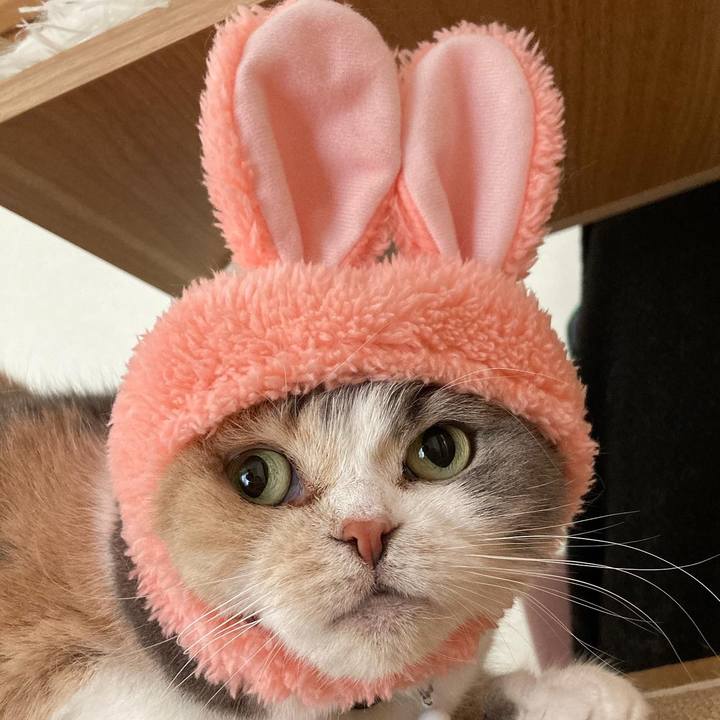 B5057214 3940 46b8 bb14 716e10528c3a 1621644899187