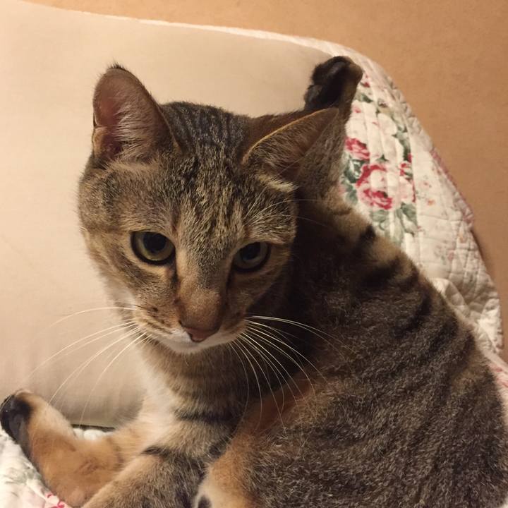 B5057ec0 7880 48cc bd4b bdb931028d80 1508243549660