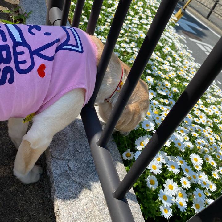 B5058186 75c5 44bb b887 24d2ae0521e3 1617771935915