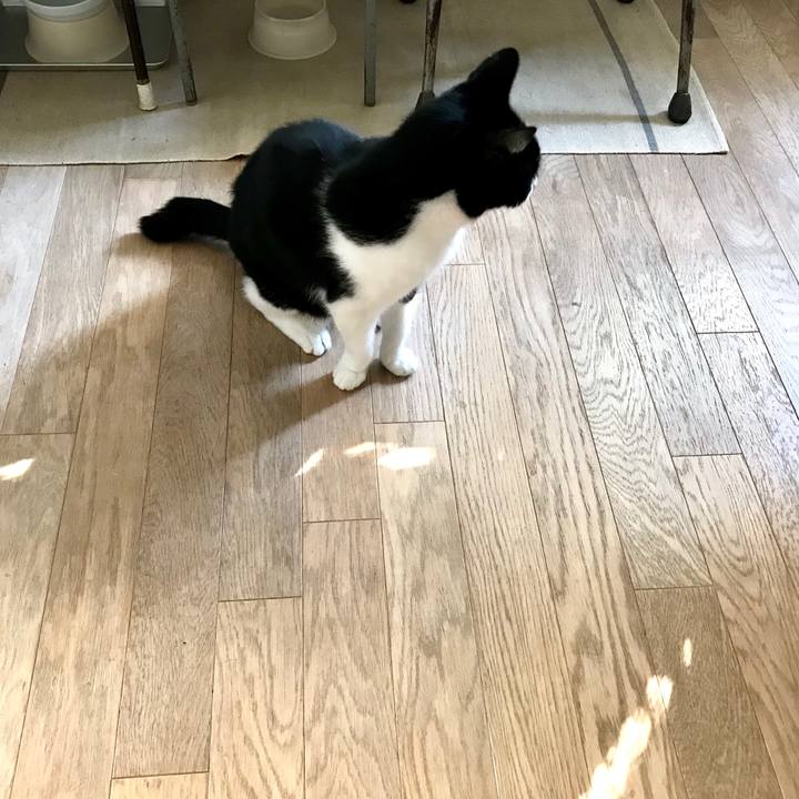 B50597fd 77fa 411f 967c 57dda97bf943 1512548322035