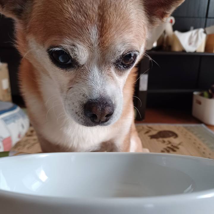 B5060a83 aeb0 497d b490 cf65107786bd 1755900414135