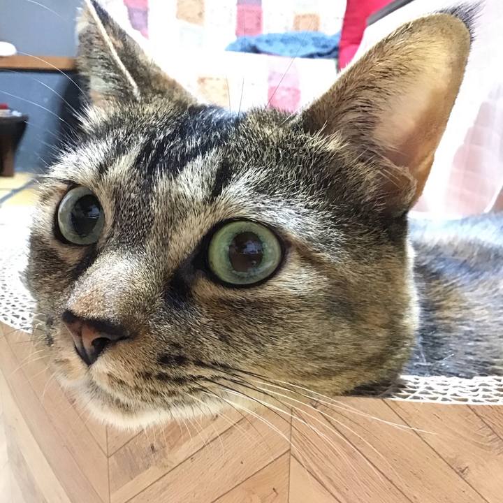 B50611d1 2caf 47a3 a4c9 6aba167aa14b 1699272896015