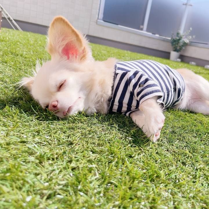 B5061708 c24b 4a84 bf4a 2af5ee44be36 1696581708285