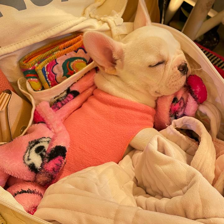 B506280a ca51 462f 82c0 eddfa0a453ca 1649584379008