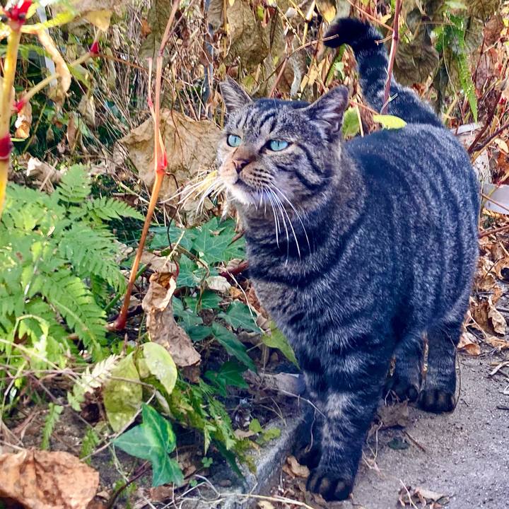 B5063b06 b07f 4033 8260 418eb6d64415 1668298549204