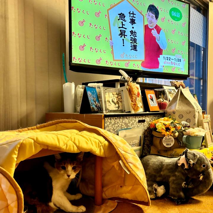 B5065d94 143a 4271 bf8c 2d764b6f45a1 1705880267997