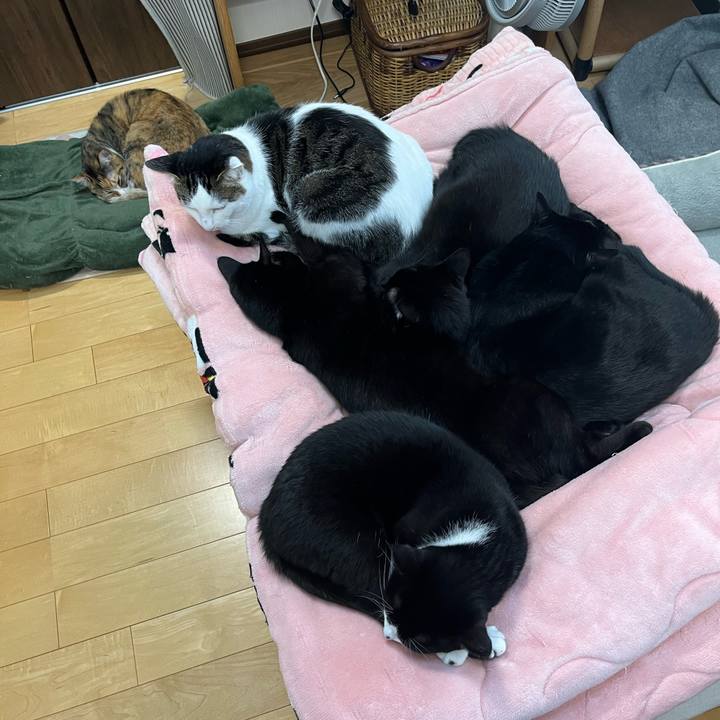 B5066dd7 0376 436e 944d e4989ef99ac6 1702441879093