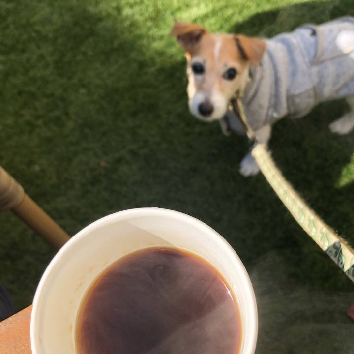 B50686d0 7ee2 4e5e 9015 7589d16f54de 1604901532733