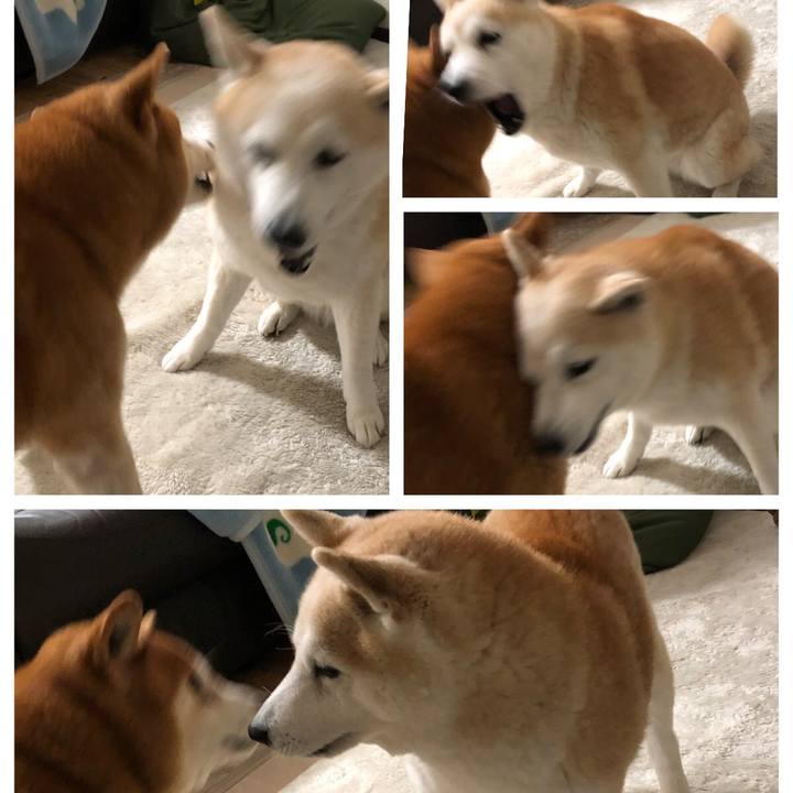 B50686e6 60a4 4fa3 b3d7 57daee6f5b6e 1549852804973