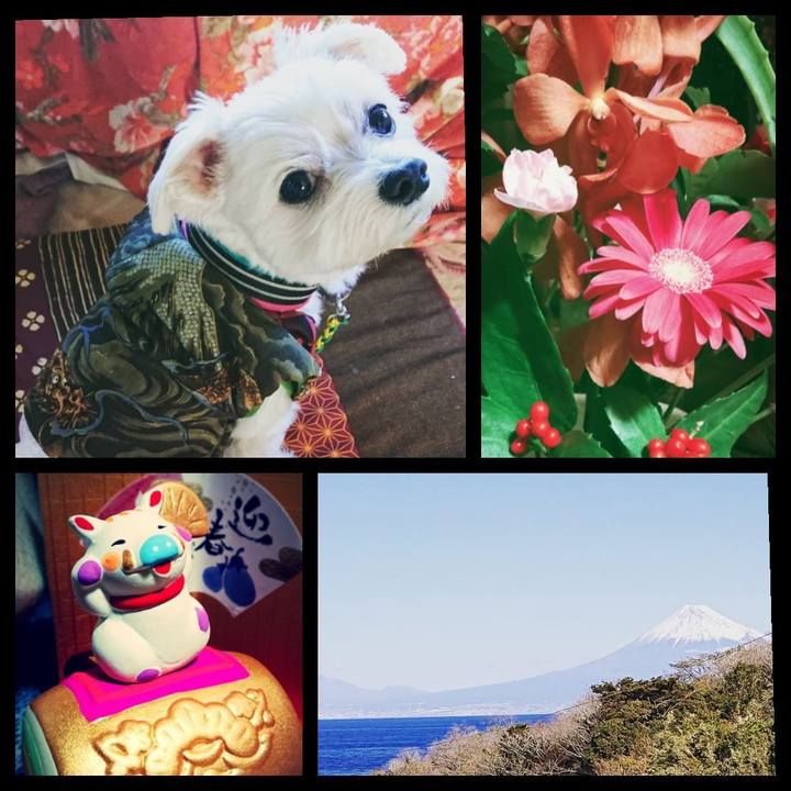 B506b0df ed10 4531 aef7 e65b6571f046 1546308749348