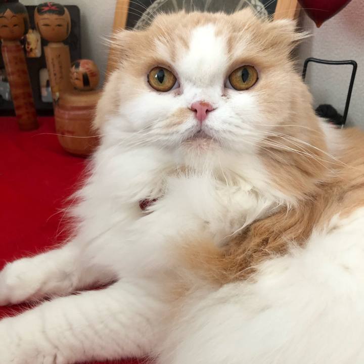 B506b7ce 2543 4ad3 8d3d 599caa5f4720 1598448799848