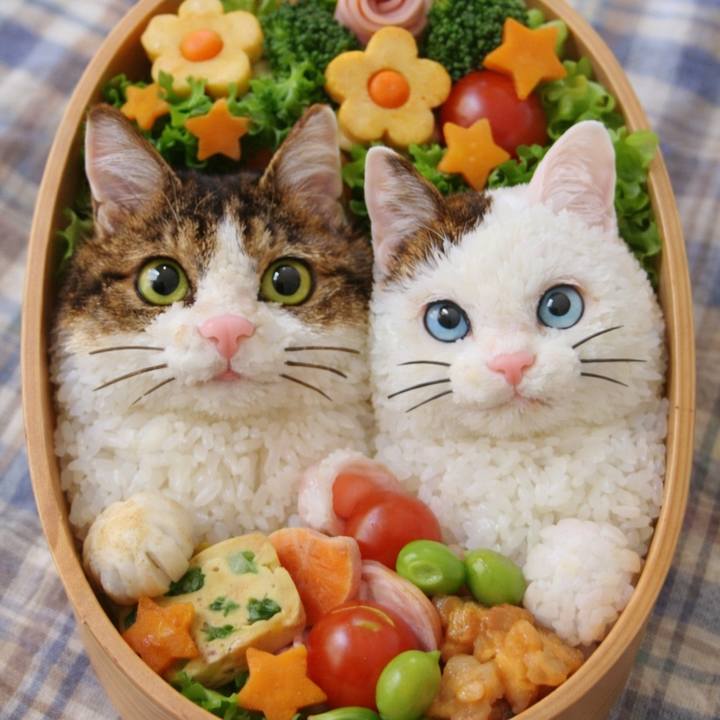 B506d4b3 bb0f 4bde ab7b ec795bd83276 1769079112113