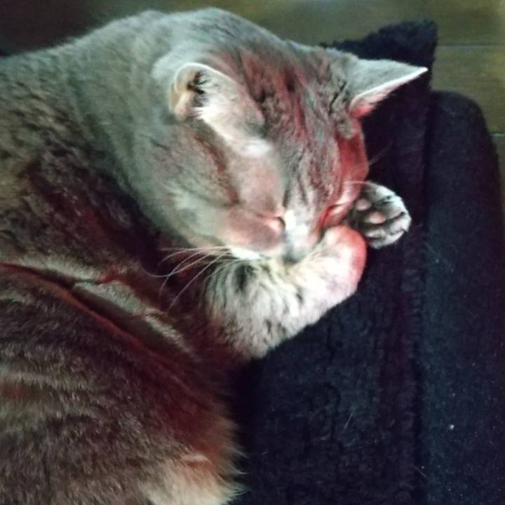 B506ec5b 00ed 4207 acee 0b54a461ab6c 1642153870685