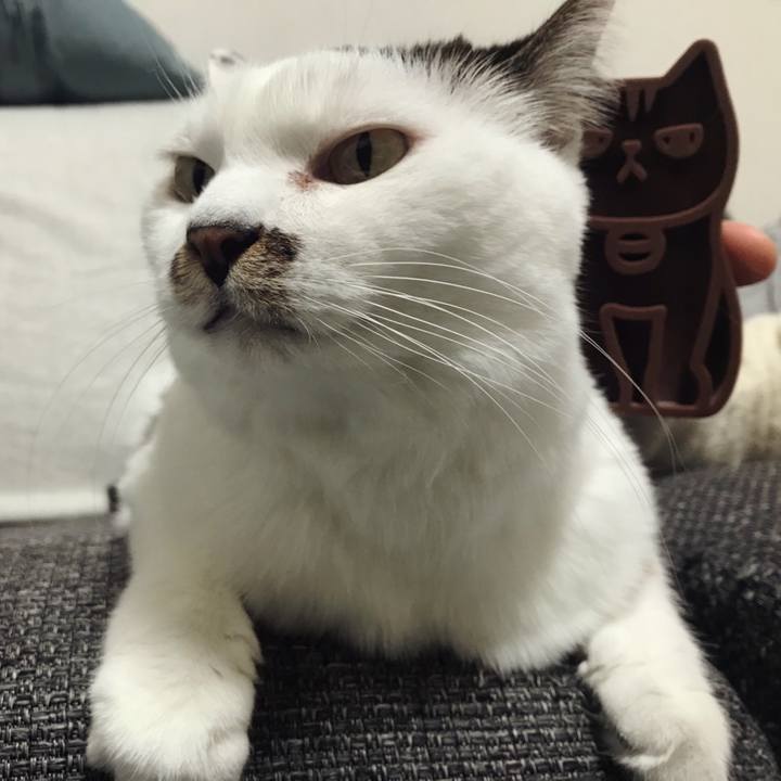 B5072eea 1cf3 41de 8ebf 1beaaa61f064 1578373638483