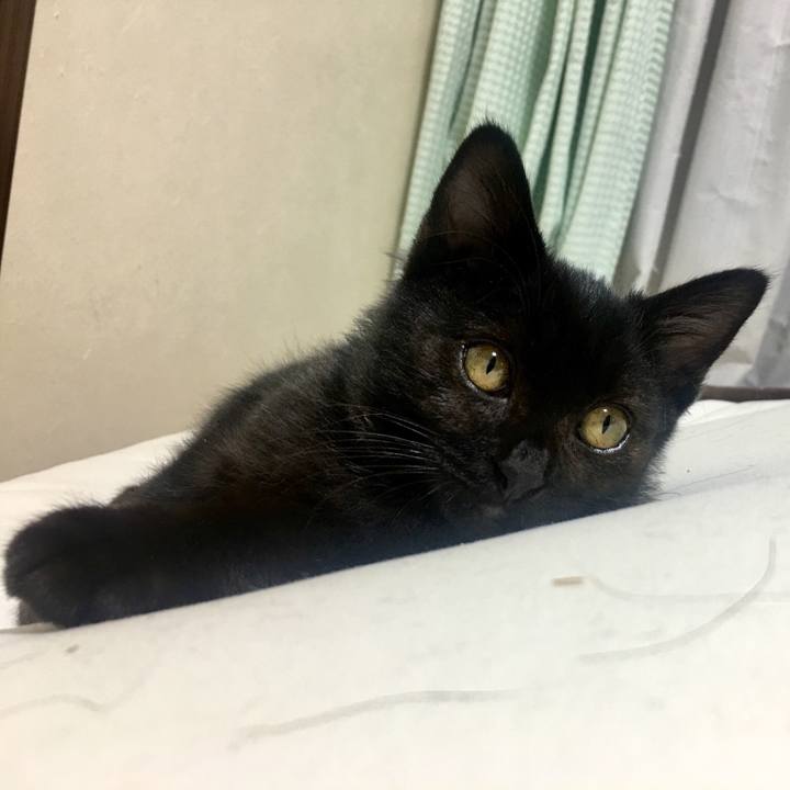 B50747bc 51ab 4962 a7b1 5a5f867d8b51 1540475176856