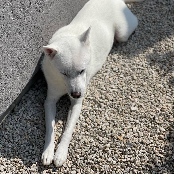 B5075a34 8efb 4f05 a7a3 48b702906530 1666495576094