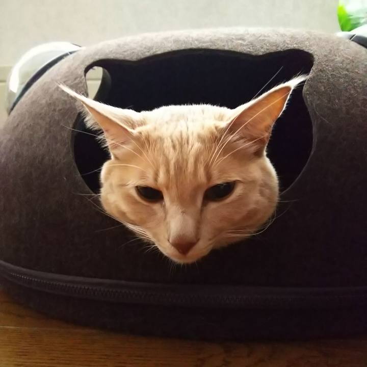 B5077ac9 2a6f 460a bfb7 9851623f8fee 1605248047910