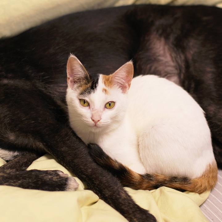 B5077bb4 71b9 4f84 8897 5e7ec381a4b5 1551095102263