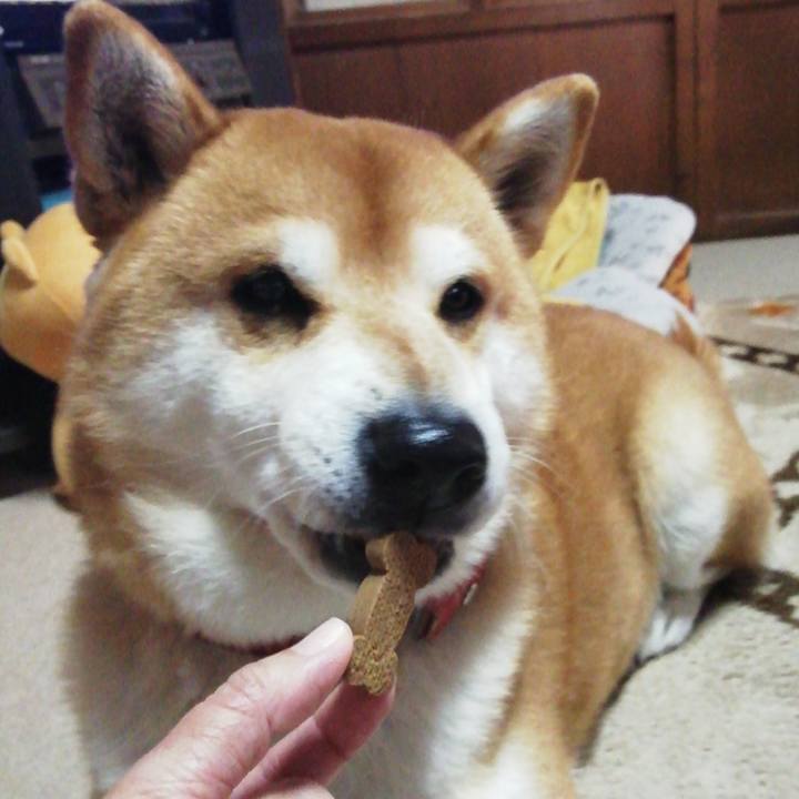 B507af9b 6d31 48aa a221 382bfa07d4d0 1609299005944