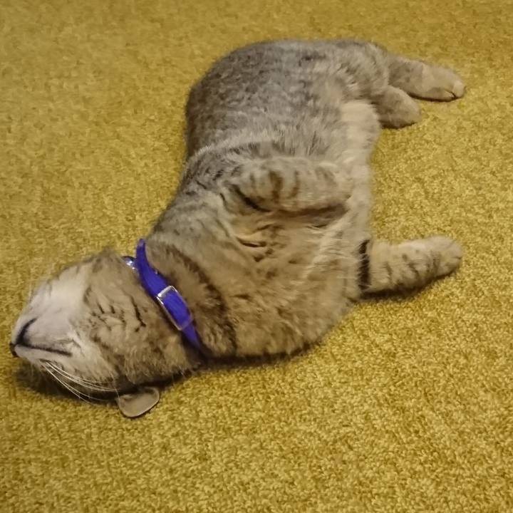 B507b5ee 3b19 4f7d 90ac 7234c94a5059 1554552339707