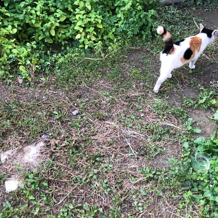 B507b663 624f 4bc8 b932 58821640f652 1601244877442