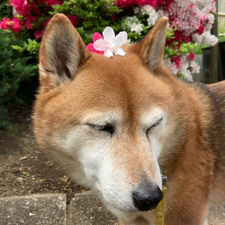 B507d696 306e 43d8 9848 0c1dcceaaf43 1651136390897