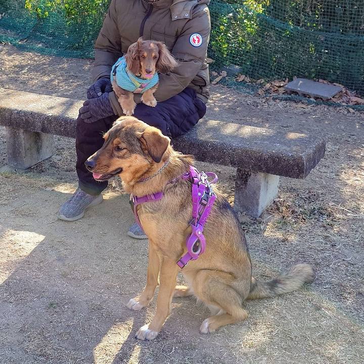 B507eb67 b1a5 4069 8447 c25c67efa5de 1739699085733