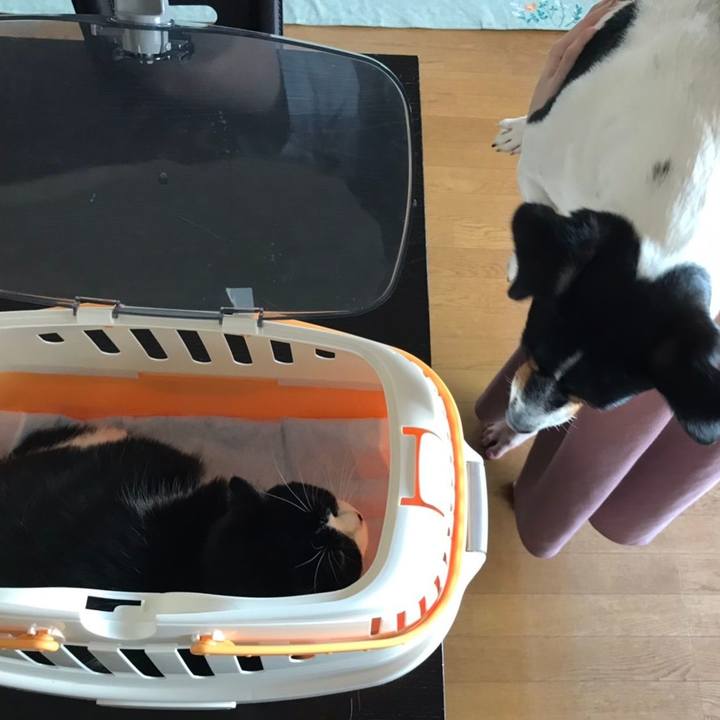 B5084604 9f91 4c00 bfcc 415ae8566ade 1596529444513