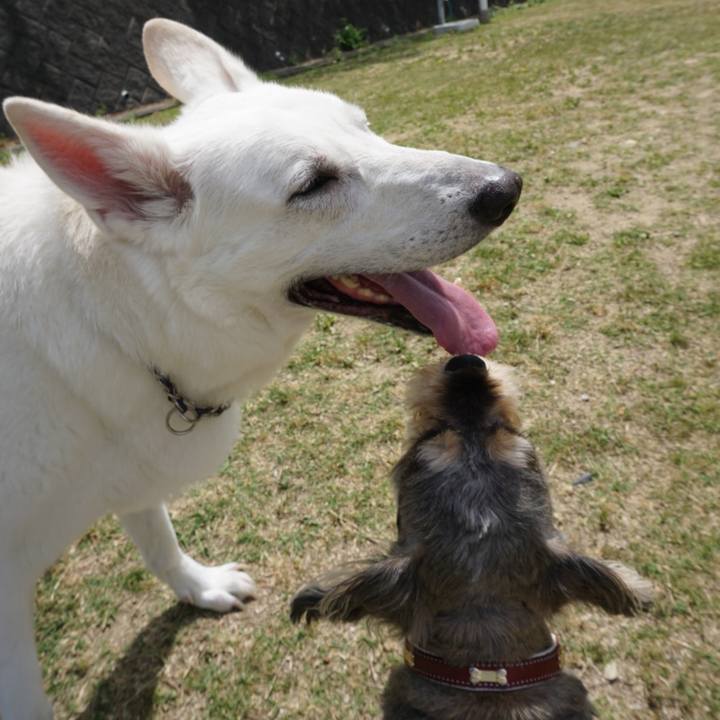 B5085c8d 1b30 478e 9707 8770d0eec64b 1564751639486