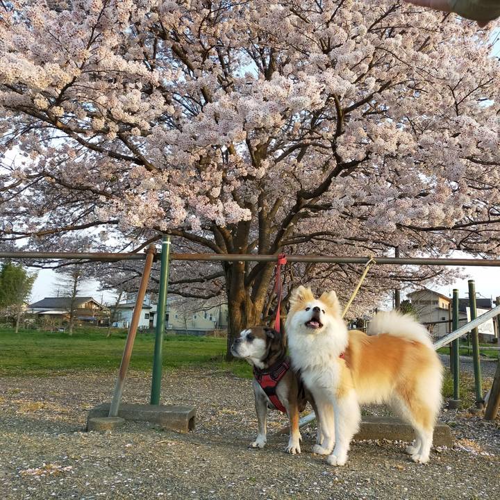 B5087d6a 03c7 43f5 b2ad 10d30f3343a8 1649418927735