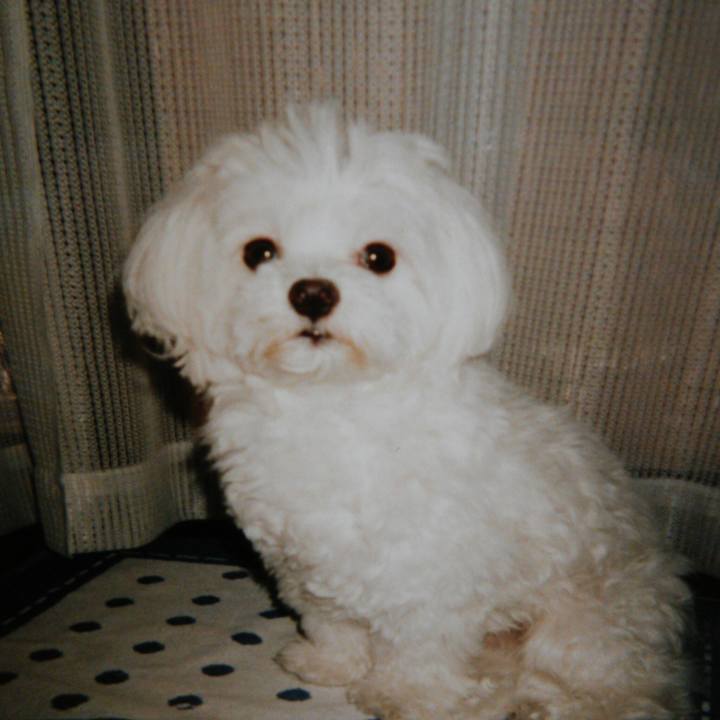 B508a377 eed5 4859 9e99 3f4cb34103ca 1518572372382