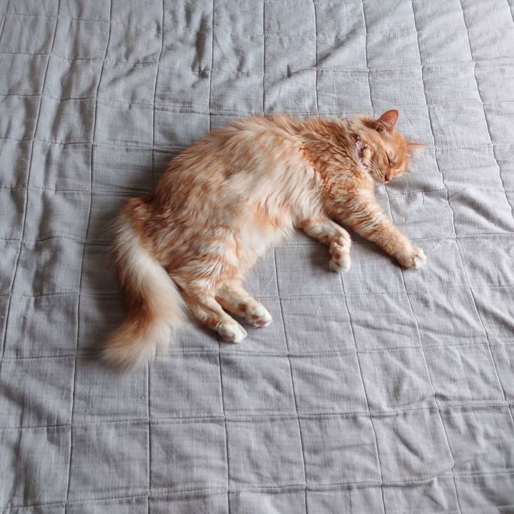 B508d065 d924 4ea7 8b32 91f66b970330 1662779360945