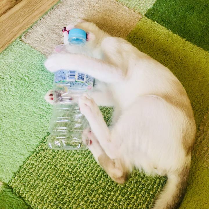 B508d570 c436 4cd6 8b26 8eab2c0504ef 1534121978451