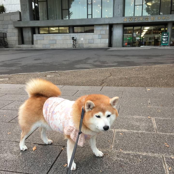 B5090885 44eb 4625 baf5 b0ae60328d77 1540464960988