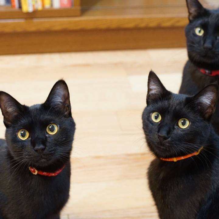 B5090b6e 49af 44f1 a297 201923af56f5 1529377273402