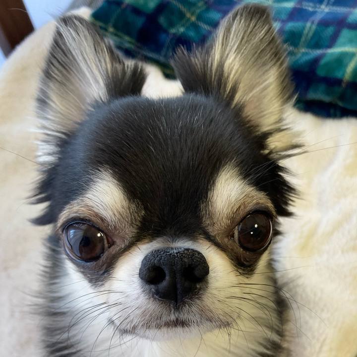 B50920d9 de23 4021 9ba0 d6f04bc2ec5e 1646435684124