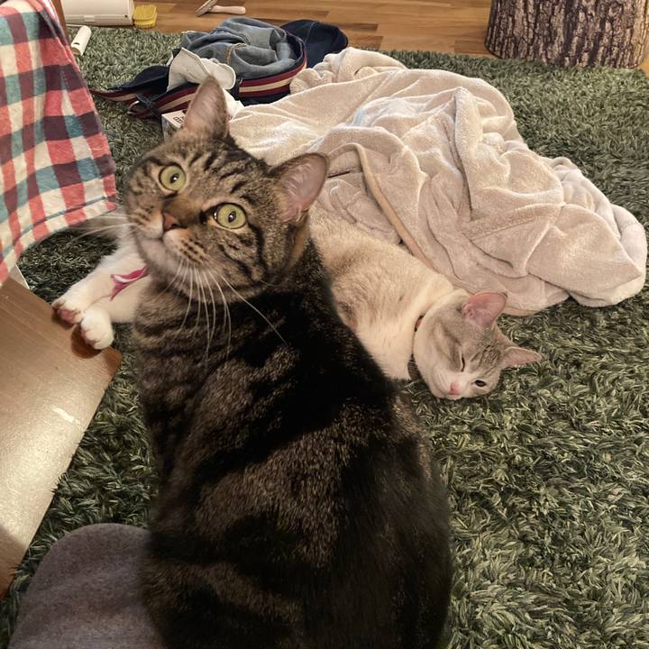 B5094d6a 1433 45d7 ab15 bfd9b1467420 1615381027467